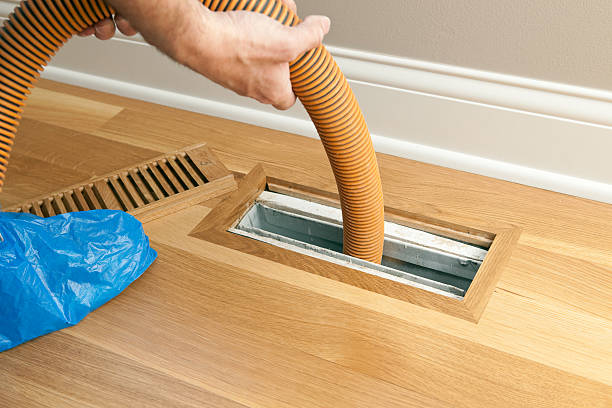 Best Dryer Vent Cleaning Services  in Wyndmoor, PA