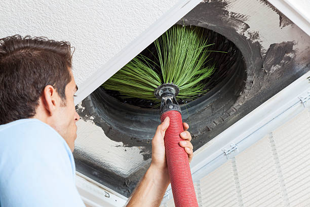 Best Local Air Duct Cleaning Services  in Wyndmoor, PA